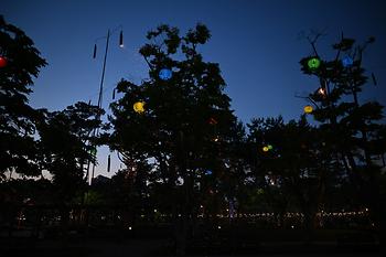 2025 세종낙화축제_13