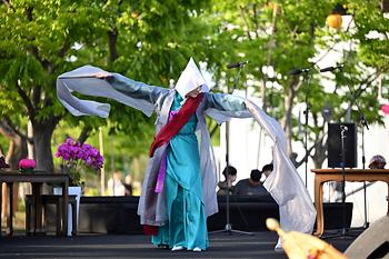2025 세종낙화축제_9