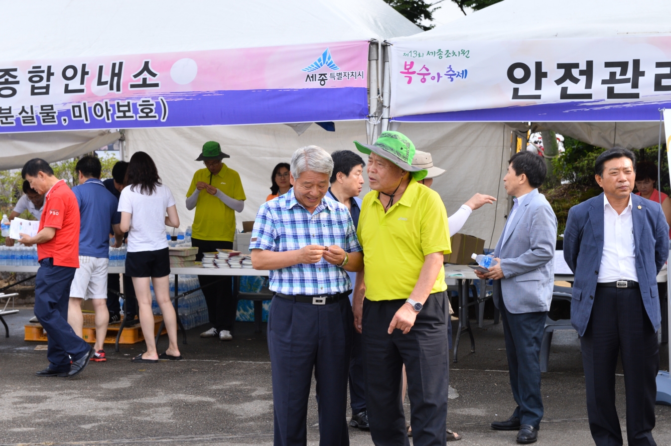 110년 전통 조치원 복숭아 축제 현장_2_4