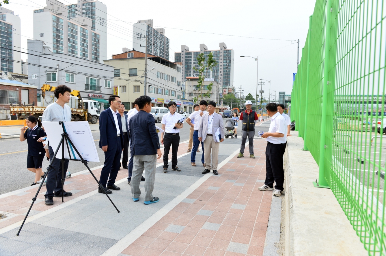 산업건설위원회 현장방문(부강면 도시계획도로 외)_5