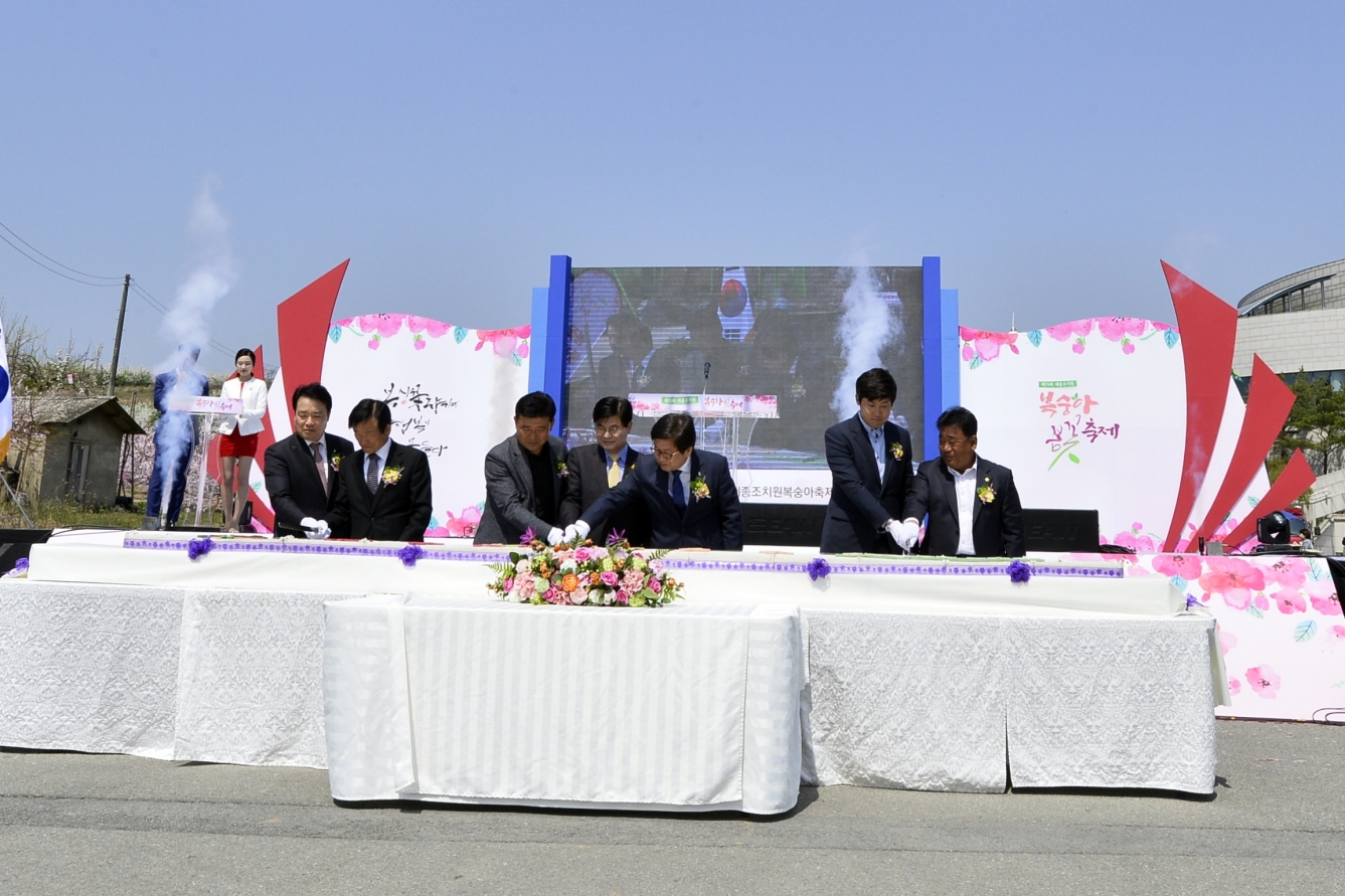 제15회 세종 조치원복숭아 봄곷 축제_4