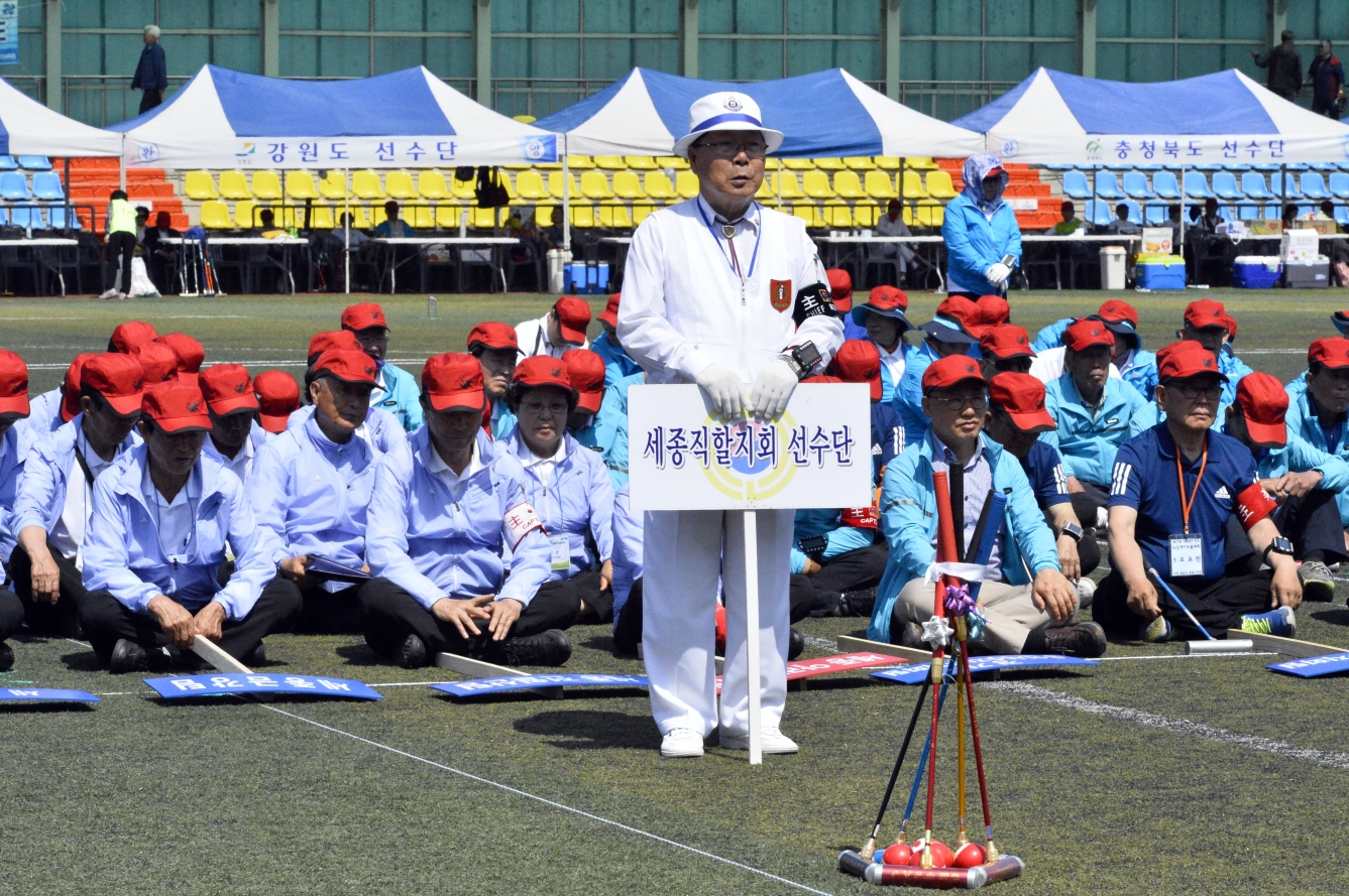 제17회 대통령기 전국 노인게이트볼 대회_3