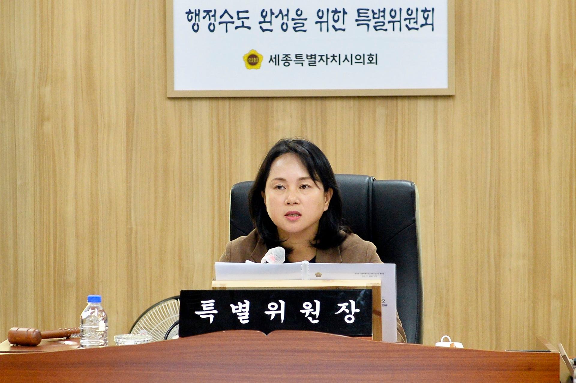 행정수도 완성을 위한 특별위원회 제2차 회의_2