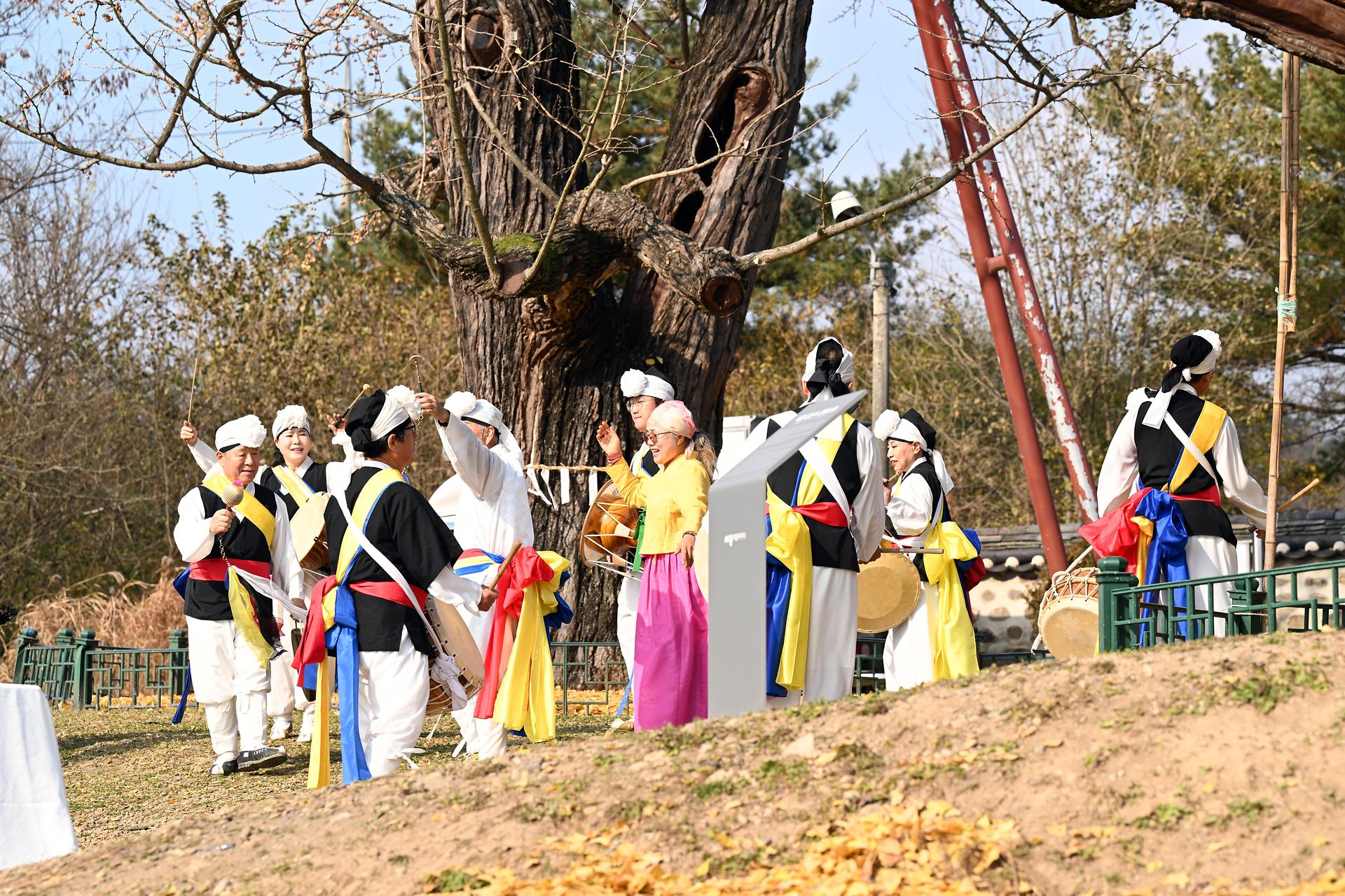 세종 임난수 은행나무 목신제_2