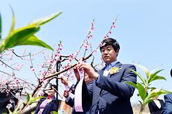 제15회 세종 조치원복숭아 봄곷 축제_5