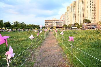 제2회 대평 해바라기 한마당_7