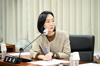 미래전략수도완성 특별위원회 제6차 회의_6