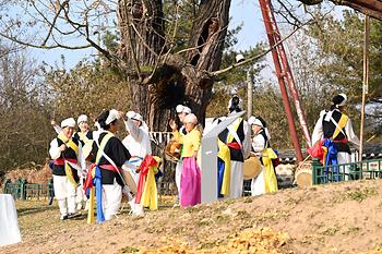 세종 임난수 은행나무 목신제_2