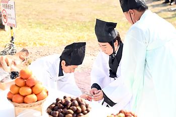 세종 임난수 은행나무 목신제_9